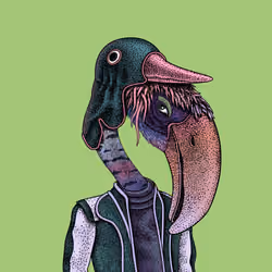 The Beaks #208