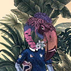 The Beaks #378