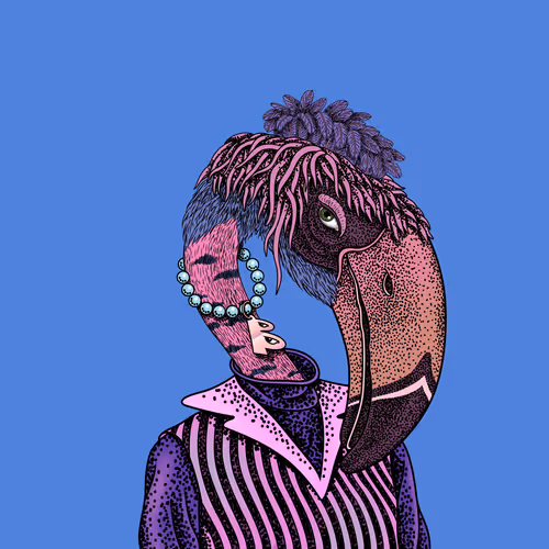 The Beaks #236