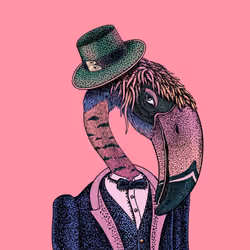 The Beaks #147