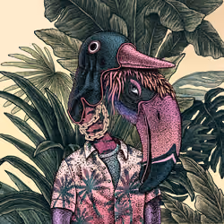 The Beaks #109