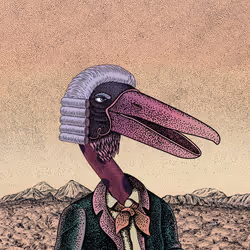 The Beaks #773