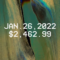 26