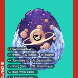 Nothobranchius #00185