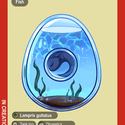 Lampris Guttatus #00274