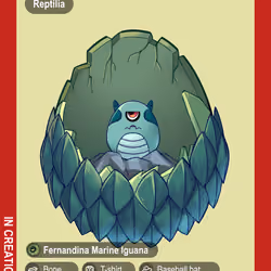 Fernandina Marine Iguana #00542