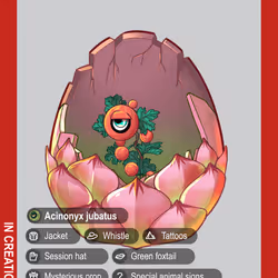 Acinonyx Jubatus #00333