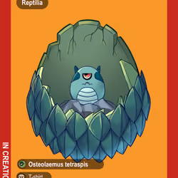 Osteolaemus Tetraspis #00581