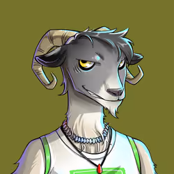 Shetland Sheep #00170