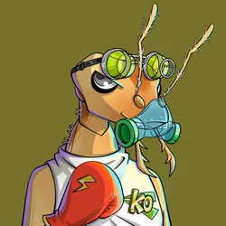 658