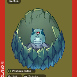 Pristurus Carteri #01704