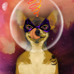 Spuccy #335