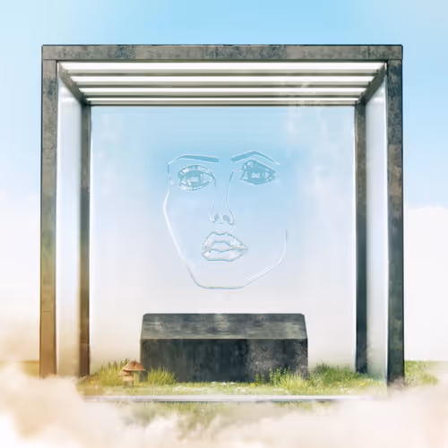 Disclosures Faces