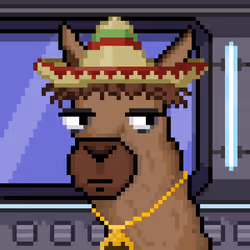 Llamaverse #1317