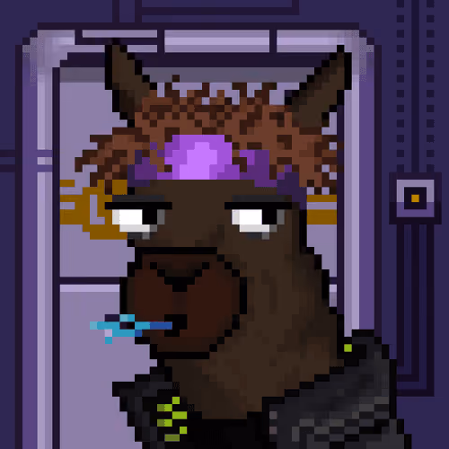 Llamaverse #1966