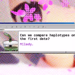 Say Milady #3959
