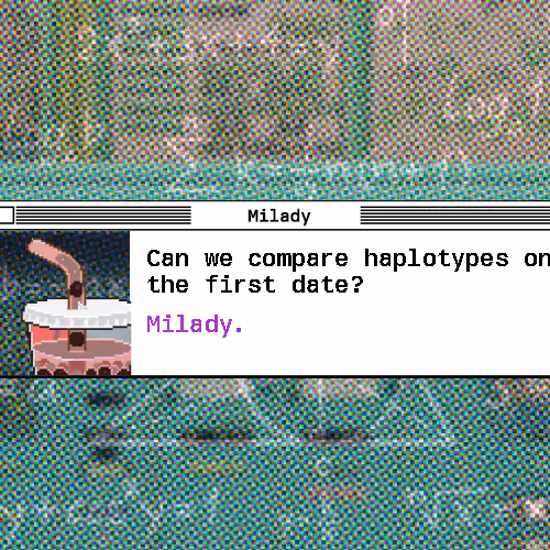 Say Milady