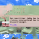 4044