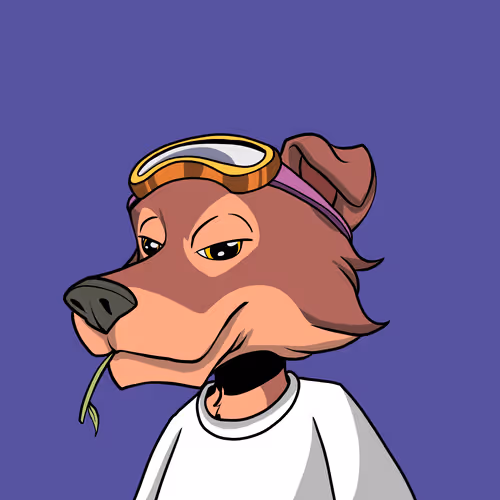 Streetdawgsofficial
