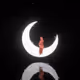 23