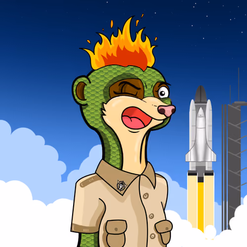 Meerkats #144