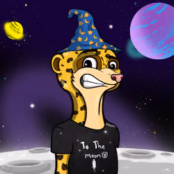 Meerkats #169
