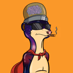 Meerkats #10