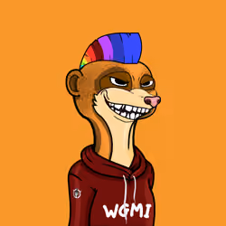 Meerkats #11