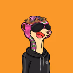 Meerkats #50