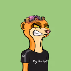 Meerkats #49