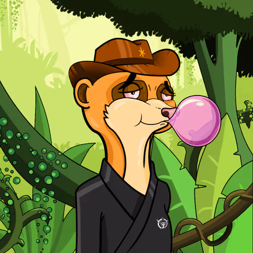 Meerkats #17