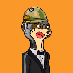 Meerkats #19