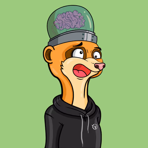 Meerkats #14