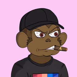 DaMonkez #2653
