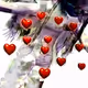 professional wing donor  by nohygiene