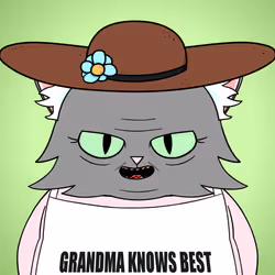 Grandma #8625