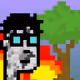 244