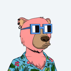 Noun Bears #1795