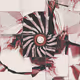 William Mapan—Centrifuge