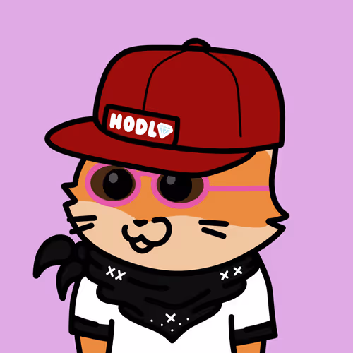 Slylyfoxes