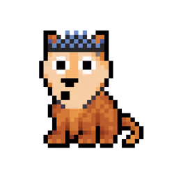 Wolf #23453
