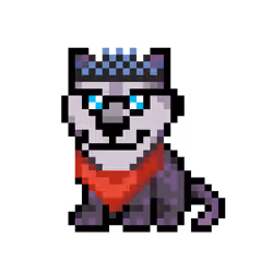 Wolf #24862