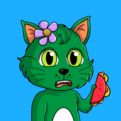 Taco Gato #246