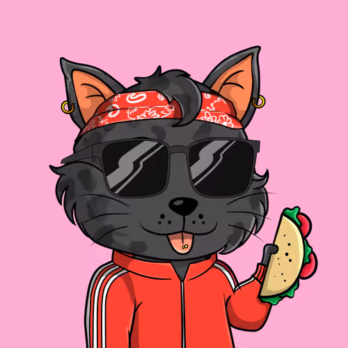 Taco Gato #8951