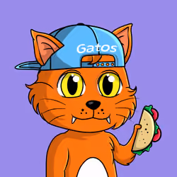 Taco Gato #1658