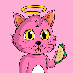 Taco Gato #311