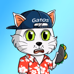Taco Gato #5080