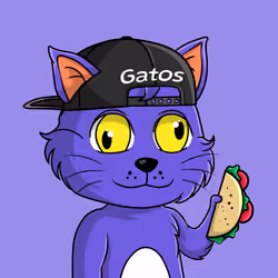 Taco Gato #6366