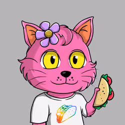 Taco Gato #431