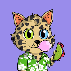 Taco Gato #5723